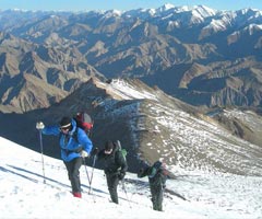 ladakh safari