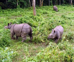 corbett park